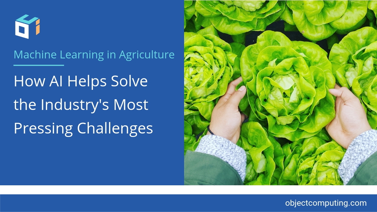 Machine Learning In Agriculture How AI Helps Solve The Industry S Most