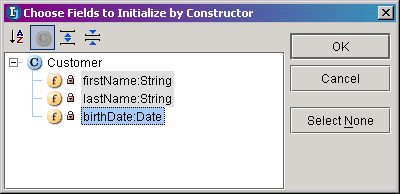 Choose Fields to initialize by Constructor