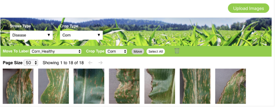 Machine Learning Crop Disease Diagnosis and Product Recommendation Application