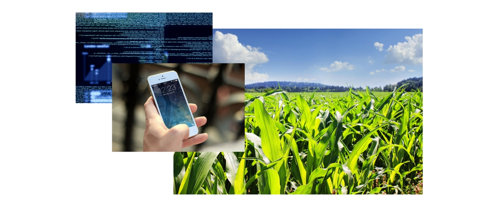 An agricultural biotechnology company needed a way to accurately diagnose crop disease and to provide customized, environmentally friendly solutions to its community of farmers.